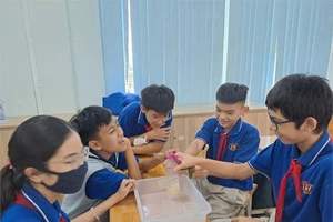  Trường tiên tiến, hội nhập quốc tế ở TP.HCM tăng mức thu 