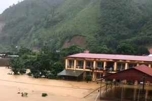 Hỗ trợ sách giáo khoa cho học sinh bị thiệt hại do bão số 3