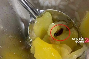 Vụ bữa ăn tại Đại học Bách Khoa Hà Nội: Phó Thủ tướng chỉ đạo xử lý nghiêm