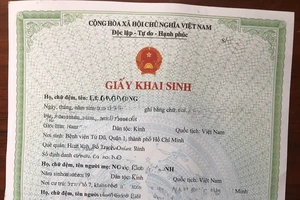 Chính thức triển khai cấp giấy khai sinh trực tuyến cho người Việt Nam tại nước ngoài