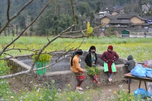 'Ngẩn ngơ' với vẻ đẹp Hà Giang chìm đắm trong sương mờ