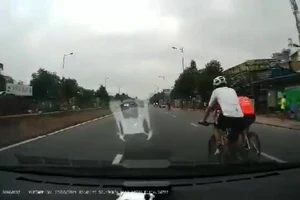 Hình ảnh được cắt từ clip.