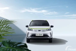 Chiếc ô tô điện 5 chỗ này có giá chỉ 209 triệu đồng