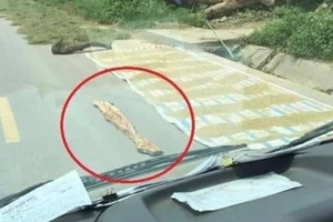 Tài xế bức xúc khi đi qua tuyến đường phơi lúa kèm tấm gỗ gắn đinh