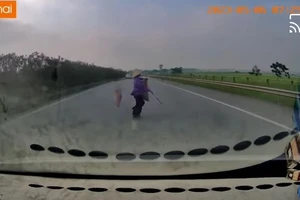 Bà cụ băng qua cao tốc gây tai nạn: Lỗi thuộc về ai?