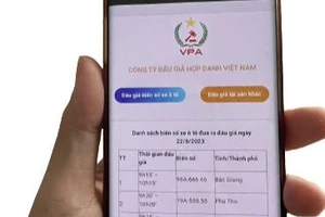 Từ 1-9 có quy định mới về đấu giá tài sản, đấu giá biển số ô tô có thay đổi?