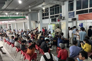 TP.HCM đề nghị người dân đăng ký đổi bằng lái xe qua tổng đài