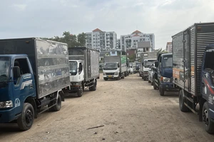 Các Trung tâm Đăng kiểm tại TP.HCM có bị ùn ứ?