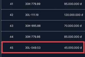 Xôn xao khi biển số 49.53 được đấu giá 45 triệu đồng