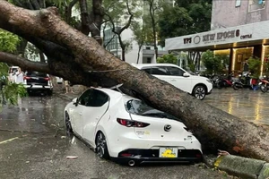 Các bước để được bảo hiểm bồi thường cho xe ô tô vì bão