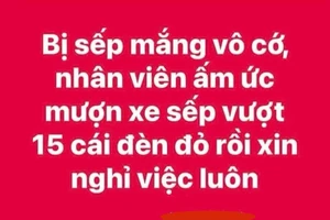 'Mượn xe của sếp vượt 15 chiếc đèn đỏ': Ai là người bị xử phạt?