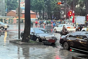 Mở cửa xe ô tô cho đúng cách để không bị xử phạt theo Nghị định 168?