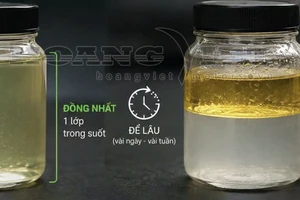 Dùng thiết bị chống tách lớp xăng E10 có hiệu quả?