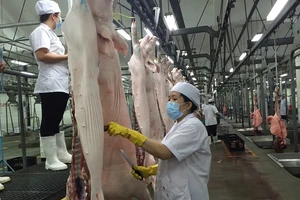 Giá thịt heo hơi rớt thê thảm