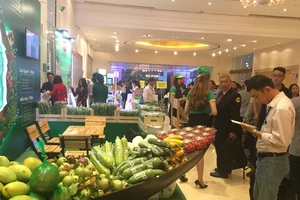 Lý do doanh nghiêp trẻ khởi nghiệp ngắc ngoải