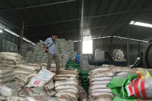 Đồng loạt kiểm tra sản xuất phân bón