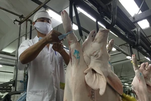 Hàng trăm điểm bán thịt heo có 'chứng minh thư' 