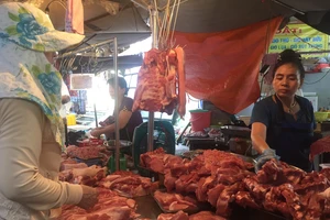 Đối phó đeo vòng nhận diện truy nguồn gốc heo