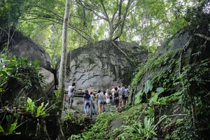 Thót tim, bay bổng... với thành phố rừng Madagui 