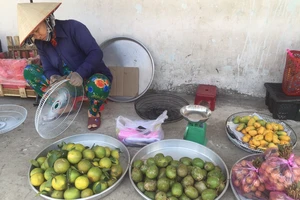 Xoài tí hon Trung Quốc tràn vào Việt Nam