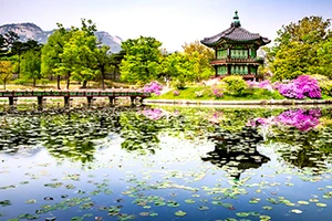 Visa đi du lịch Hàn Quốc được rút ngắn ra sao?