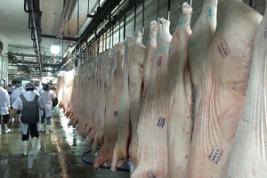 Heo hơi đang sốt giá là ảo hay thật?