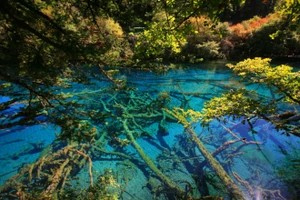 Không có khách Việt kẹt tại Trung Quốc do động đất