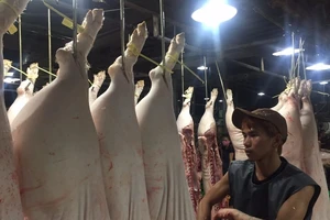 Heo quá khổ lại hết đường 'chạy' qua Trung Quốc