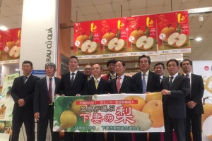 Đến lượt trái lê 'khủng' Nhật vào ở Việt Nam