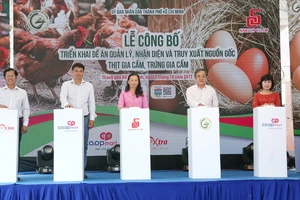 Tại sao không truy 'lý lịch' thịt, trứng... nhập khẩu?