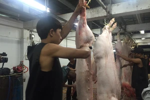Giữa đêm kiểm tra 'lý lịch' heo vào chợ tại TP.HCM