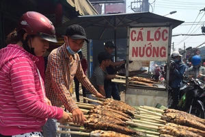 Giá hoa đồng tiền tăng gấp ba lần ngày Thần tài