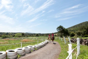 Du lịch khen thưởng Việt Nam tới Hàn Quốc tăng đột biến