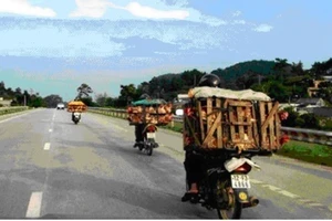 Mang sọt tre 'gánh' gà con ủ rũ, chết từ Trung Quốc vào VN