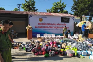 Tiêu hủy hàng giả trị giá 3 tỉ đồng