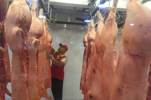 Lo không chở kịp hàng Tết do bị cấm đường 