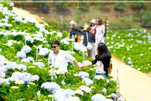 Đà Lạt quá tải, ùn tắc tại điểm du lịch và trung tâm thành phố