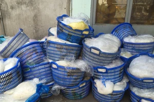 Phát hiện cơ sở “hồi sinh” bún hết hạn thành bún tươi