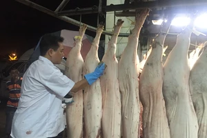 Mỗi năm dân TP.HCM chi hơn 18.000 tỉ đồng mua thịt heo