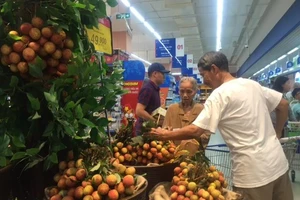 Vải thiều Bắc Giang không 'ngán' vải thiều Trung Quốc