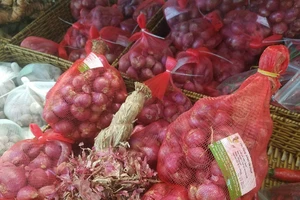 Vì sao hành tím nổi tiếng Vĩnh Châu được cấp chỉ dẫn địa lý?