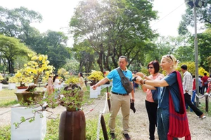  Du lịch TP.HCM muốn cải thiện vị trí xếp hạng