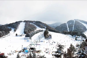 Gợi ý các điểm 'check in' tại Hàn Quốc khi du xuân