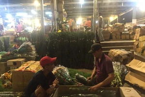 Bông cải, cà rốt Việt Nam đánh bại hàng Trung Quốc