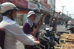 Tấp nập phố cá lóc nướng, có người bán được 1,5 tấn 