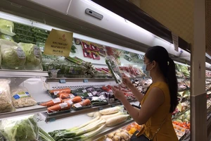 Mở cửa trung tâm thương mại của Nhật tại TP.HCM 