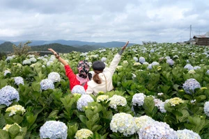 Dịp lễ 30-4: Công ty du lịch chỉ bán phòng, cho thuê xe