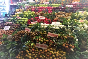 Trái vải đầu mùa Bắc Giang tăng giá bất chấp COVID-19