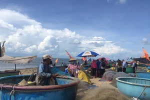 Vũng Tàu cố gắng thay đổi để làm hài lòng khách du lịch 