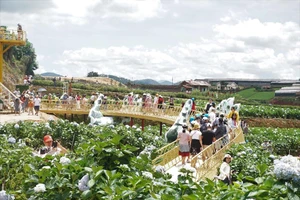 Các điểm 'check-in' tại Đà Lạt kín người ngày cuối tuần